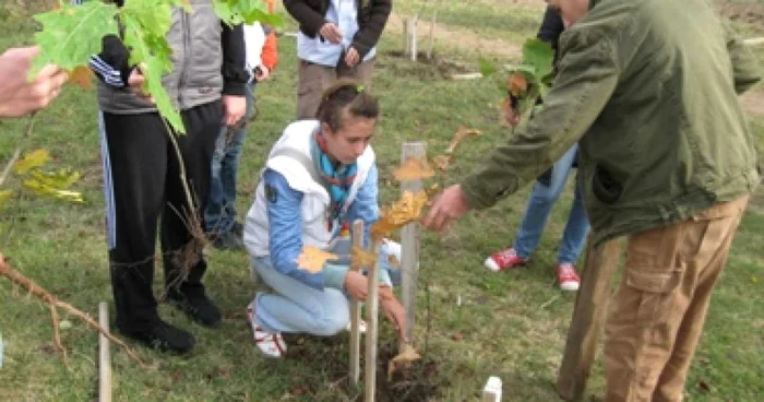Oradea: Pentru un mediu mai curat