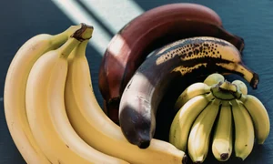 shutterstock 2660725825 jpg