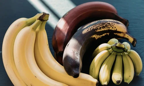 shutterstock 2660725825 jpg