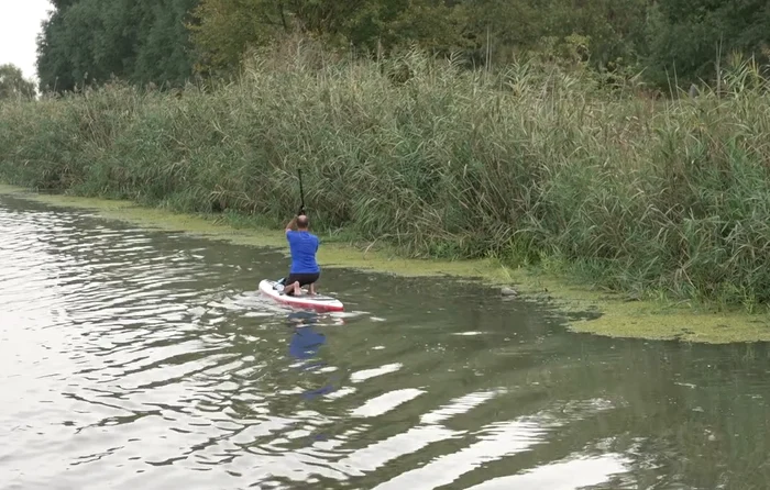 Dorde Gavrilovic a plecat pe Bega în sus FOTO captură video
