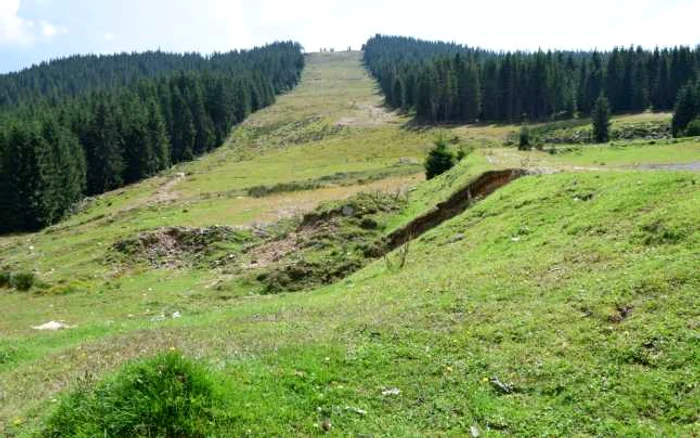 Zona defrişată de pădure unde ar fi trebuit să fie amenajată pârtia de schi. Foto: Adevărul