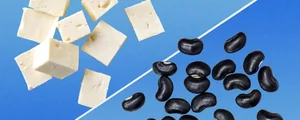 tofu fasole1 jpeg