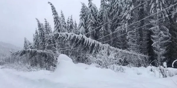 avarie curent apuseni