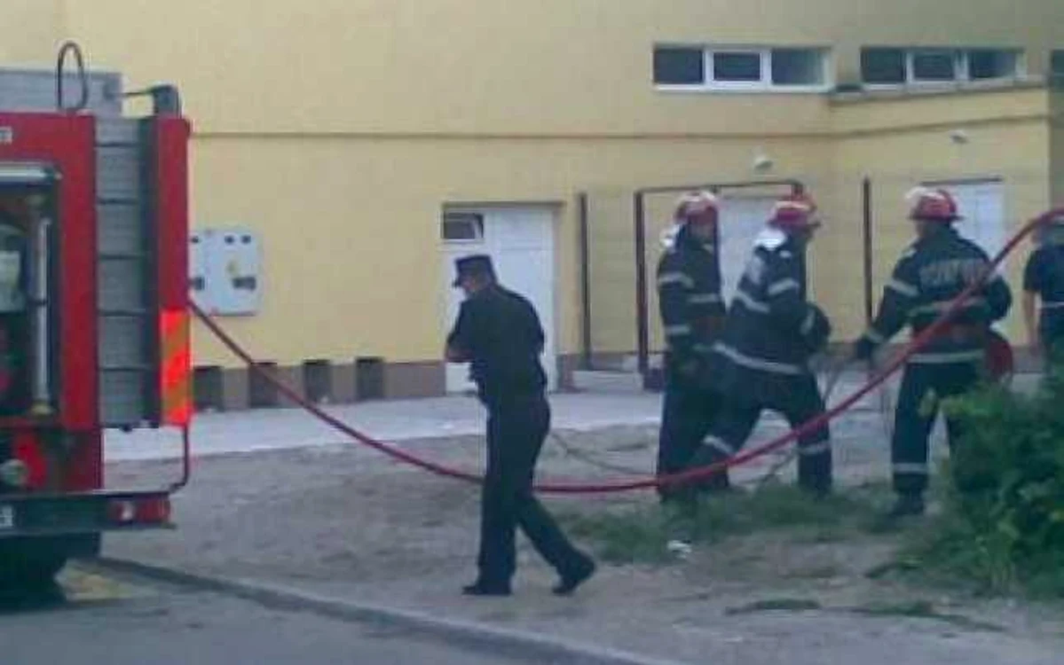 Satu Mare: Doi porci au murit într-un incendiu la Negreşti
