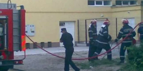 Satu Mare: Doi porci au murit într-un incendiu la Negreşti