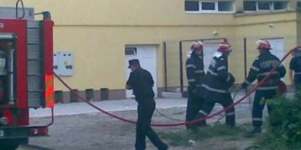 Satu Mare: Doi porci au murit într-un incendiu la Negreşti