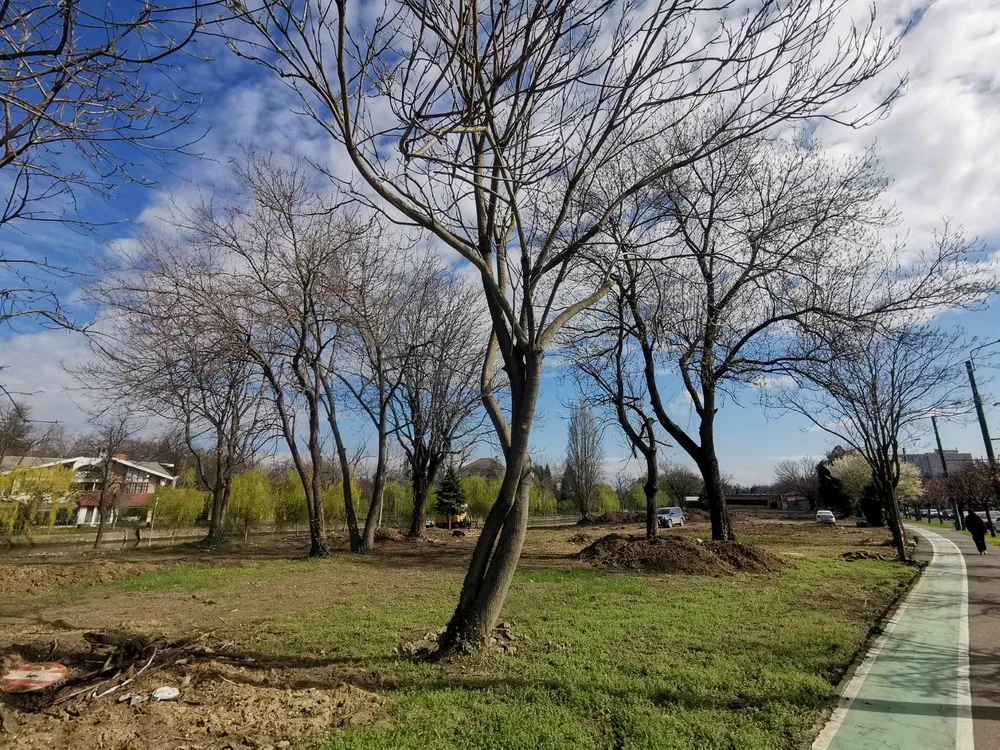 Au început lucrările de pe malul Begăi FOTO Ștefan Both