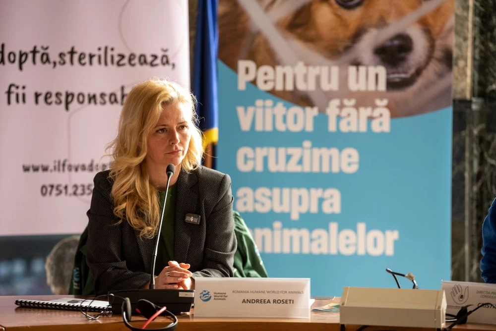 „Viața nevăzută a animalelor de fermă” - Humane World for Animals lansează o campanie publică pentru creșterea gradului de conștientizare privind bunăstarea animalelor de fermă