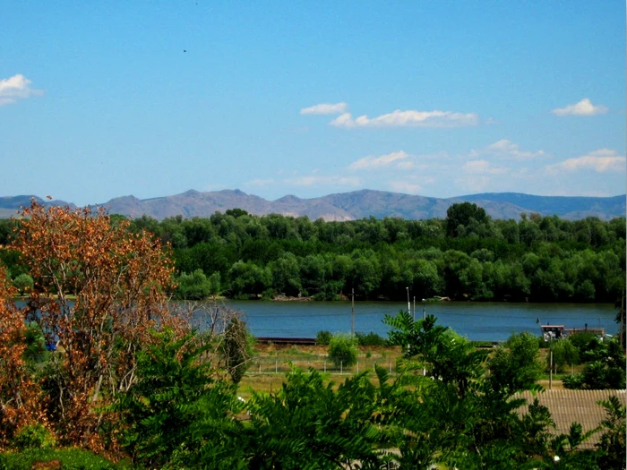 Parcul Natural Balta Mică a Brăilei Foto: ro.wikipedia.org