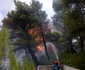 Incendii Grecia august 2021 FOTO Profimedia