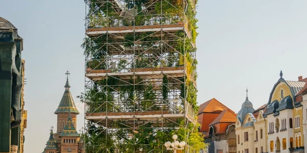 Turnul-peipieneră din Timișora FOTO Facebook/Dominic Fritz