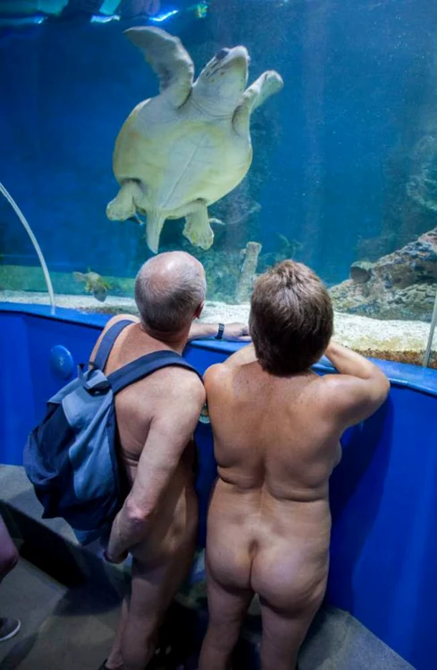 Niciun membru al publicului nu a dat nas în nas cu cei zece