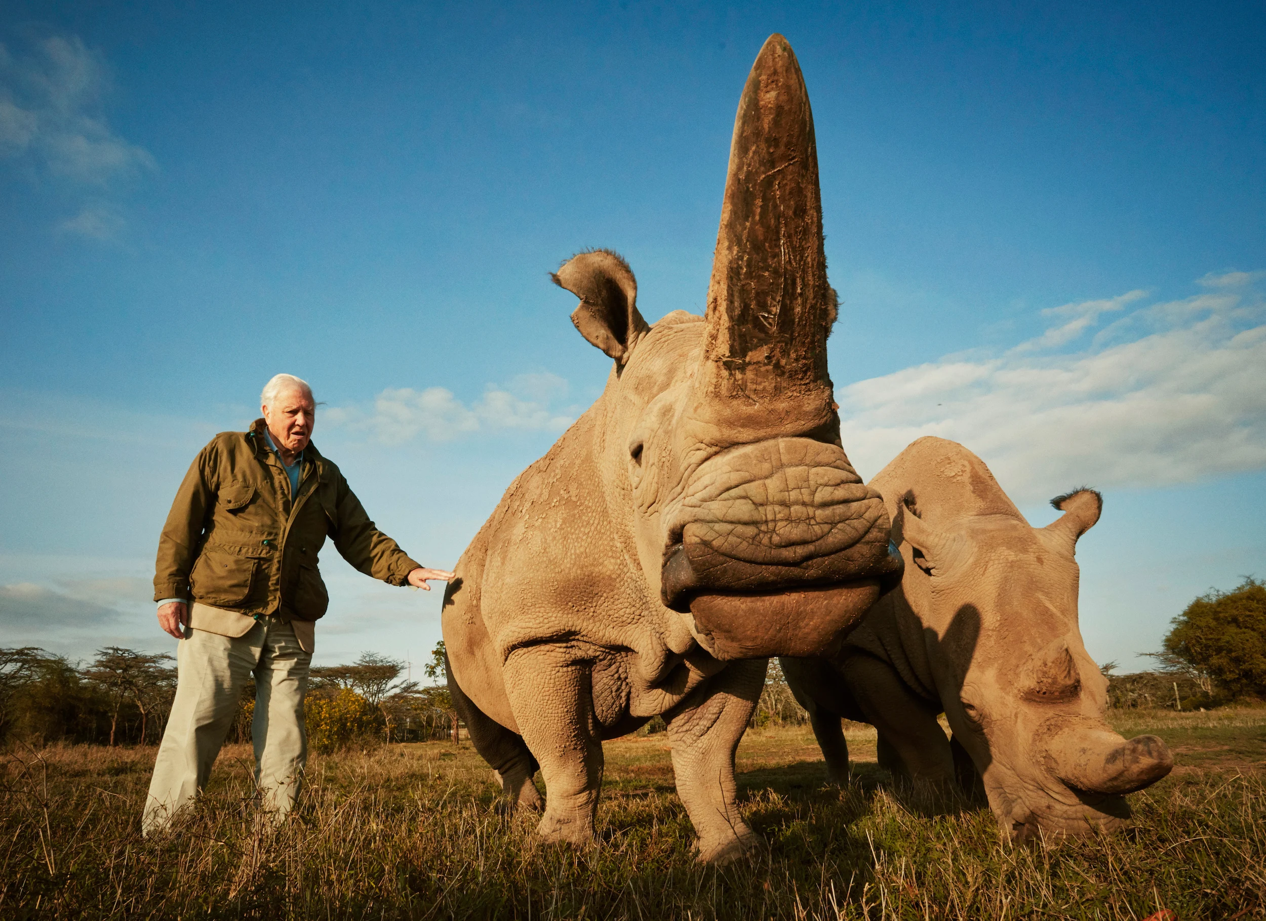 50 de specii poartă numele lui Sir David Attenborough: de la plante carnivore la reptile preistorice