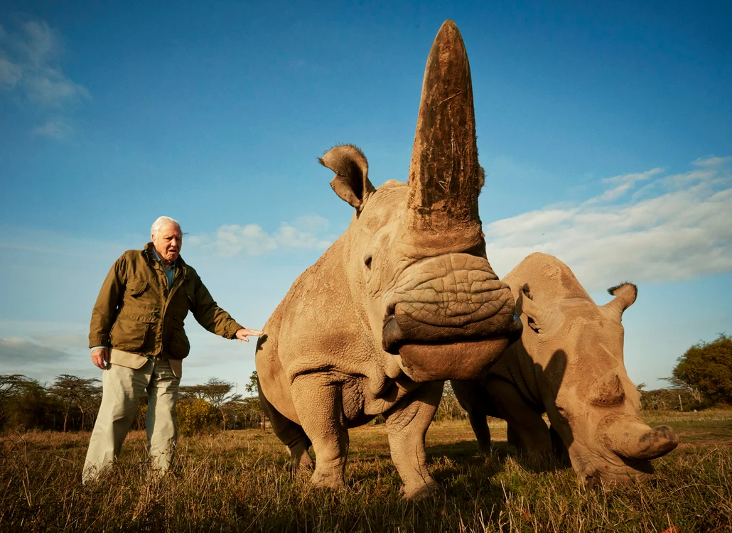 Sir David Attenborough, omul Planetei. FOTO: BBC