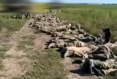 soldati rusi capturati jpg