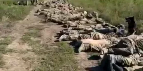 soldati rusi capturati jpg