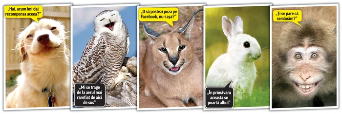 Foto: Photoland/Caters/pentruanimale.ro