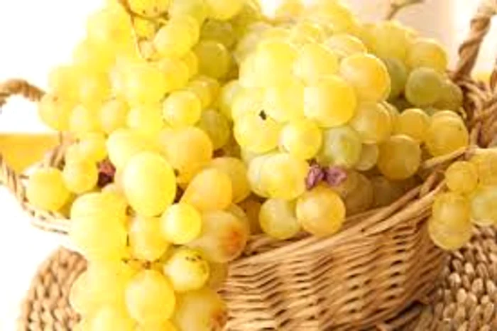 
    Strugurii sunt dușmanii cancerului sanatateabzi.ro  