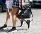Pantofii şosetă de la Balenciaga  jpeg