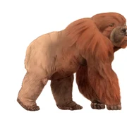 Gigantopithecus png