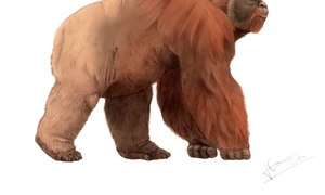 Gigantopithecus png