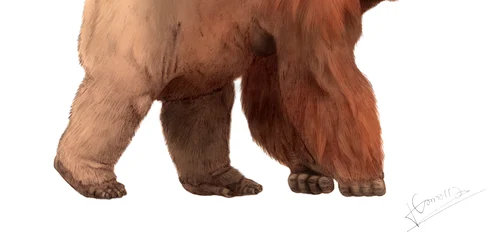 Gigantopithecus png