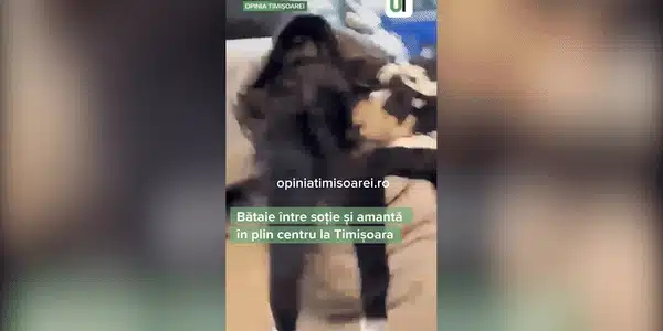 bataie gif