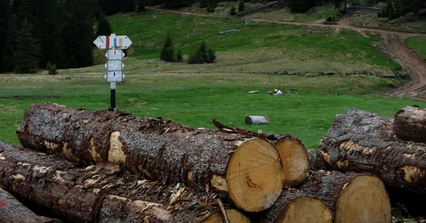130.000 de metri cubi de lemn va oferi România Republicii Moldova pentru încălzire FOTO Arhivă