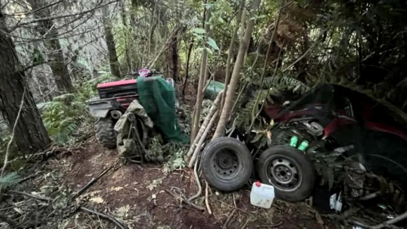 Primele imagini din ascunzătoarea tatălui fugar / foto: BBC