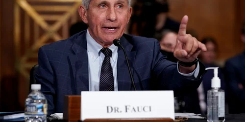 dr fauci jpeg