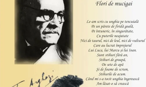 ANIVERSAREA MUZEULUI SATULUI – 77 DE ANI jpeg