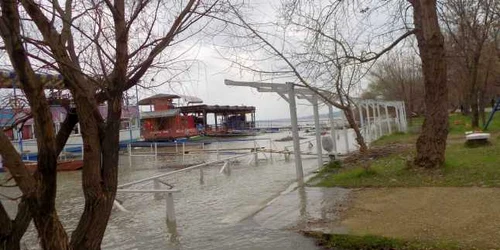 Dunărea a ieşit deja din matcă la Galaţi FOTO Costel Crângan