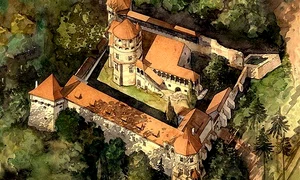 Radu Oltean şi castelul de la Criş jpeg