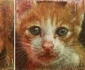 Uimitoarele picturi ale artistului spaniol Sergio Cadenas care se schimbă în funcţie de unghiul din care le priveşti Foto Galeria Iturria