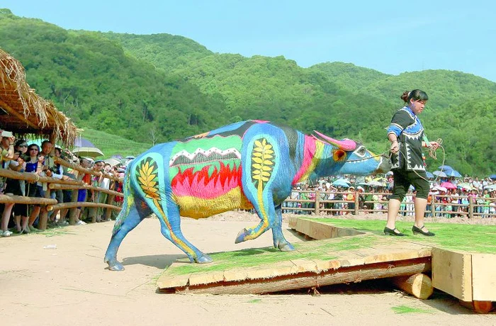 
    Bivoliţa Yiangche a fost desemnată  câştigătoarea competiţiei (Fotografii: Reuters)  