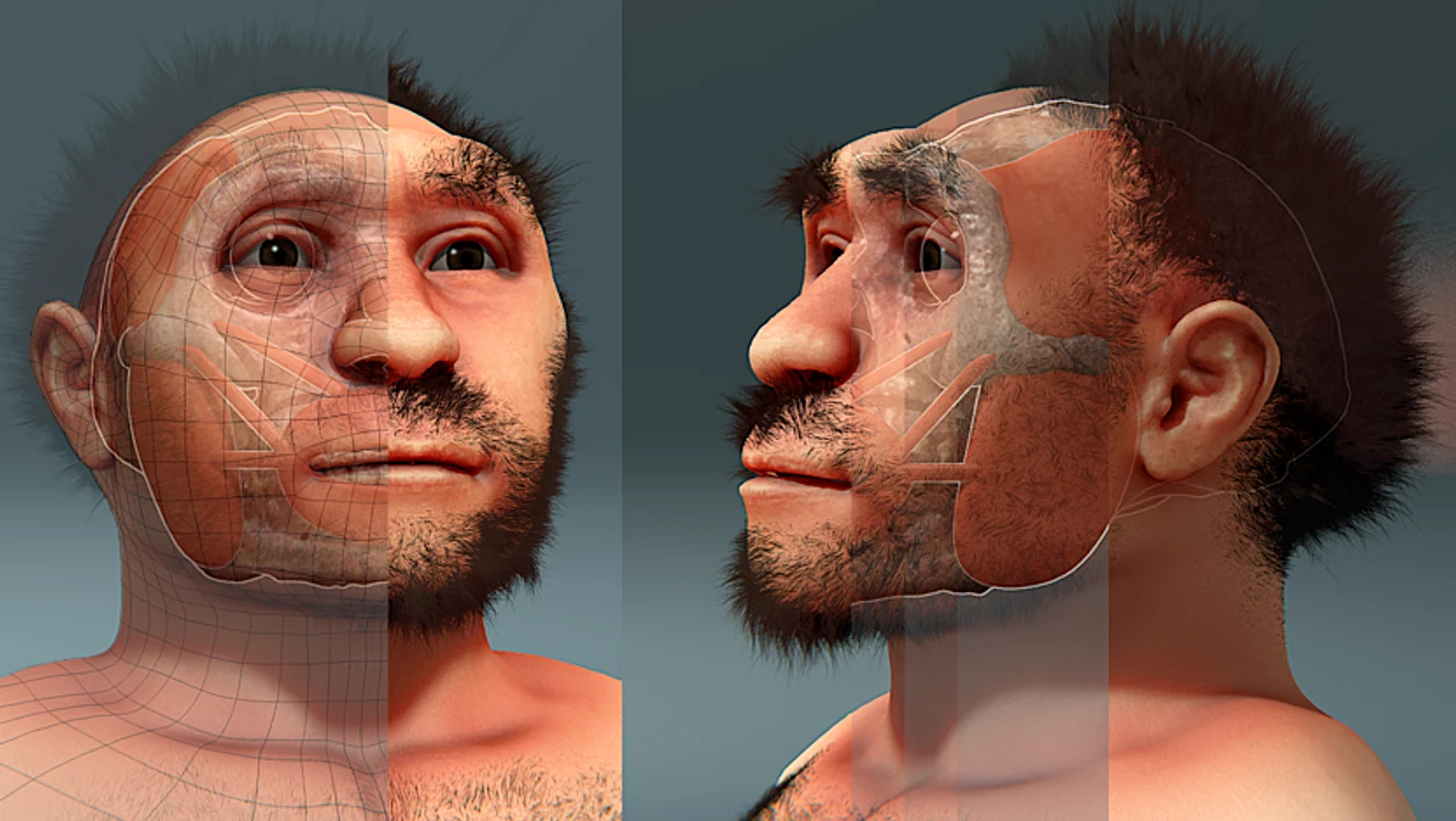 Homo erectus pekinensis forensic facial reconstruction png png