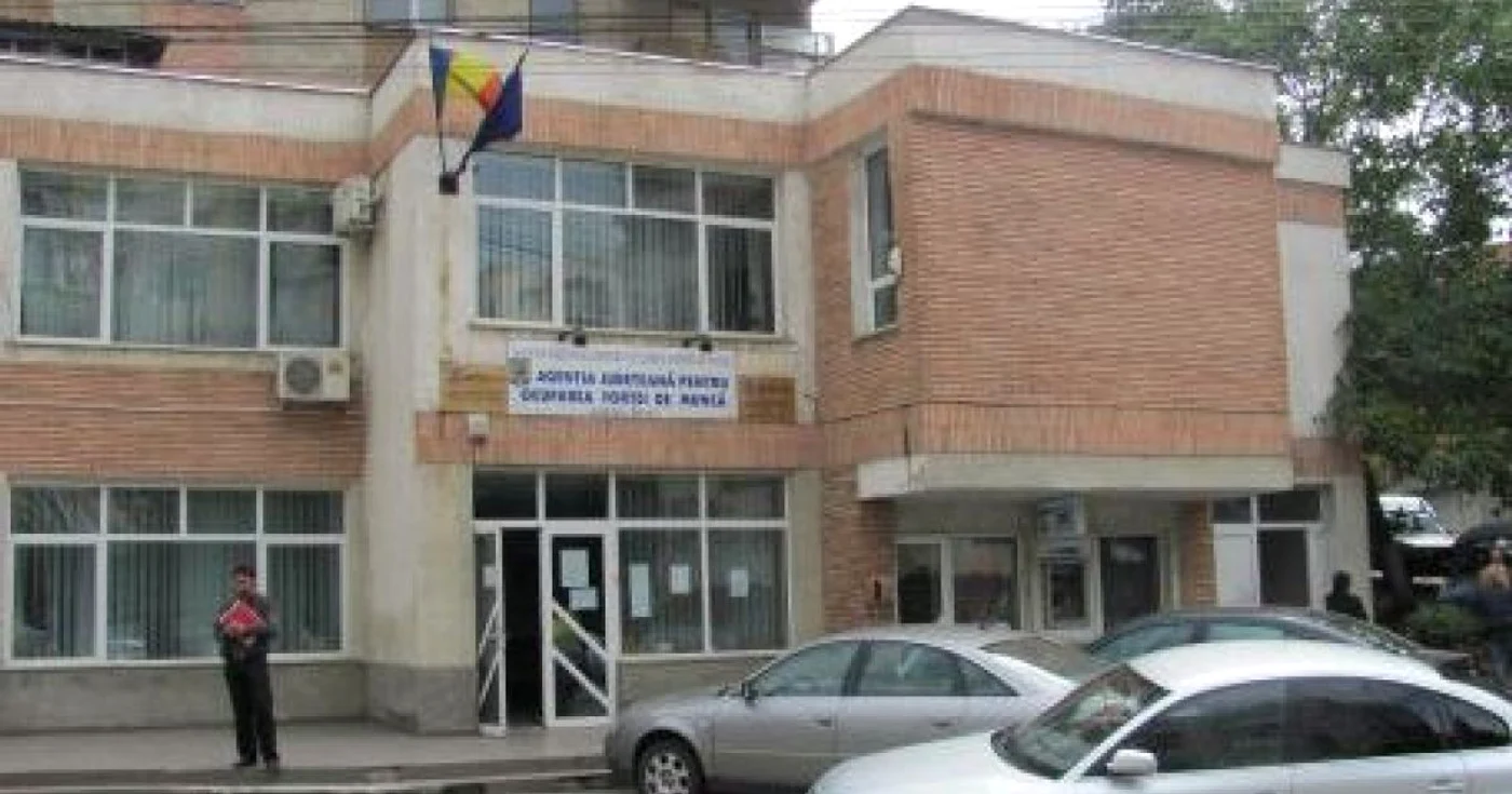 Angajatorii oferă 169 de locuri de muncă