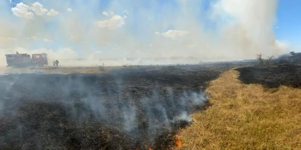 Incendiu Tulcea FOTO ISU DELTA TULCEA 