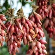 Ceapa Rosie foto Ilona Ilyes  Pixabay Ben Kercs jpg