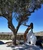 8 alina puscas super sexy in mykonos 8 jpg jpeg