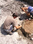 Expoziția despre pâinea dacilor, la Muzeul Satului Bănățean
