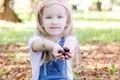 castane22 shutterstock 1179504799 jpeg