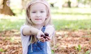 castane22 shutterstock 1179504799 jpeg