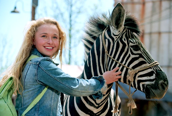 
    Urmăreşte filmul "Zebra de curse", pe Antena 1, de la 20.30  
