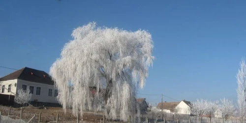 A venit iarna la Bistriţa