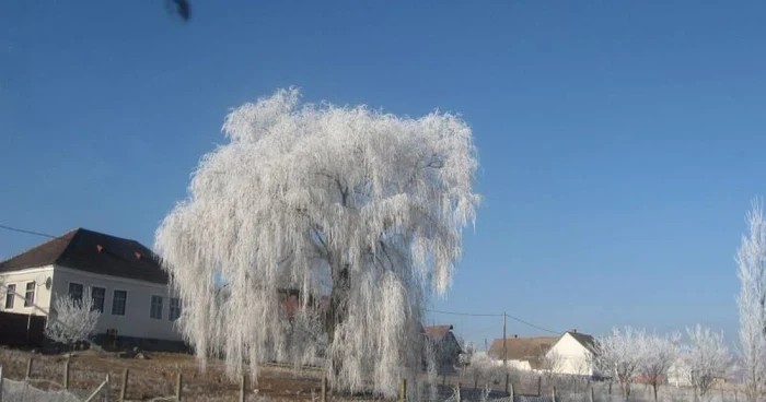A venit iarna la Bistriţa