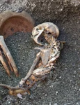 Chipul unui bărbat din Pompeii, ucis de erupția Vezuviului, reconstituit cu inteligența artificială (© Facebook / Pompeii - Parco Archeologico)