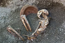 Chipul unui bărbat din Pompeii, ucis de erupția Vezuviului, reconstituit cu inteligența artificială (© Facebook / Pompeii - Parco Archeologico)