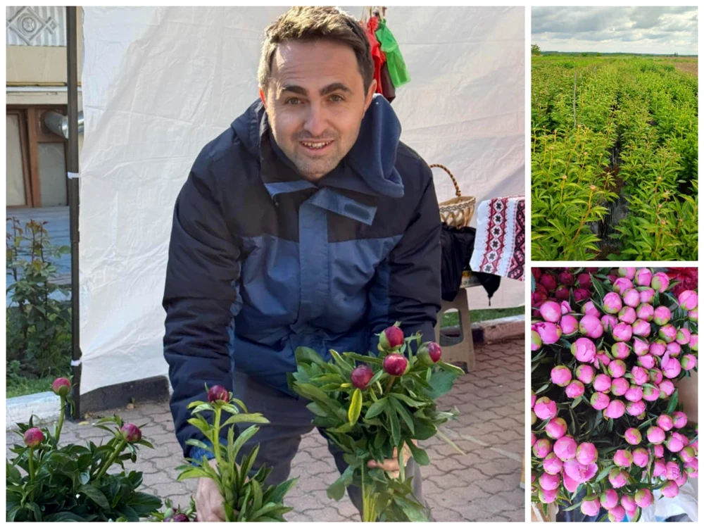 Ionuț Sranciu a înființat plantația de bujori cu opt ani în urmă FOTO: colaj/Ion Păunel