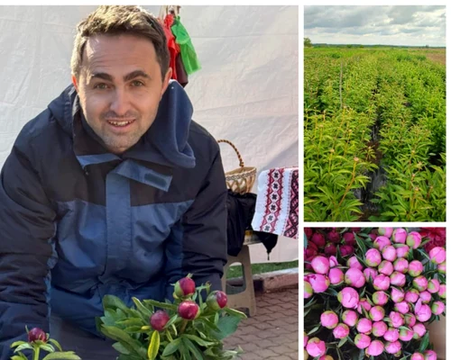ionus stanciu, corporatistul care cultiva flori foto arhiva personala și ion paunel (1) jpeg